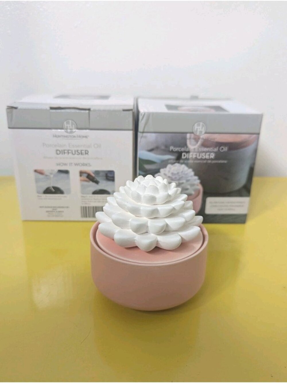 Huntington Home Porcelain Succulent Essential Oil Diffuser Aromatherapy NEW